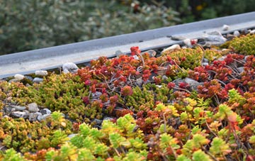 the cost of Higher Wambrook green roof installation