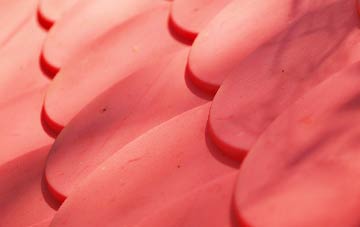 Higher Wambrook plastic roof costs