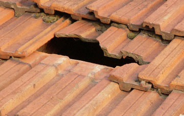 roof repair Higher Wambrook, Somerset