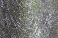 Higher Wambrook fibreglass roof work